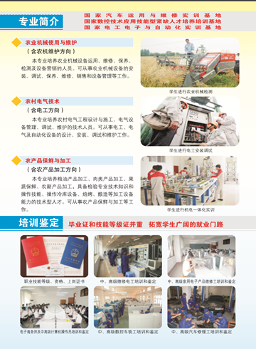 澳洲10在线,澳洲10在线（中国）2016年招生简章5