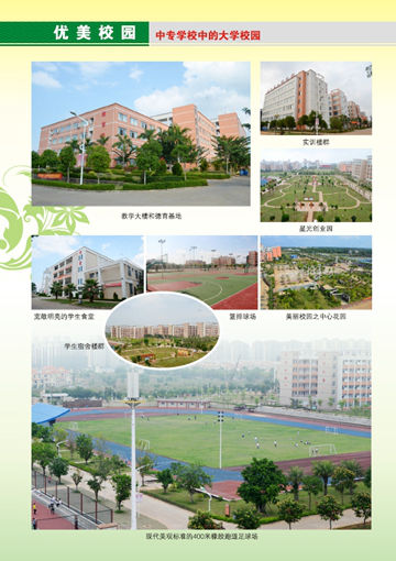 澳洲10在线,澳洲10在线（中国）2016年招生简章6